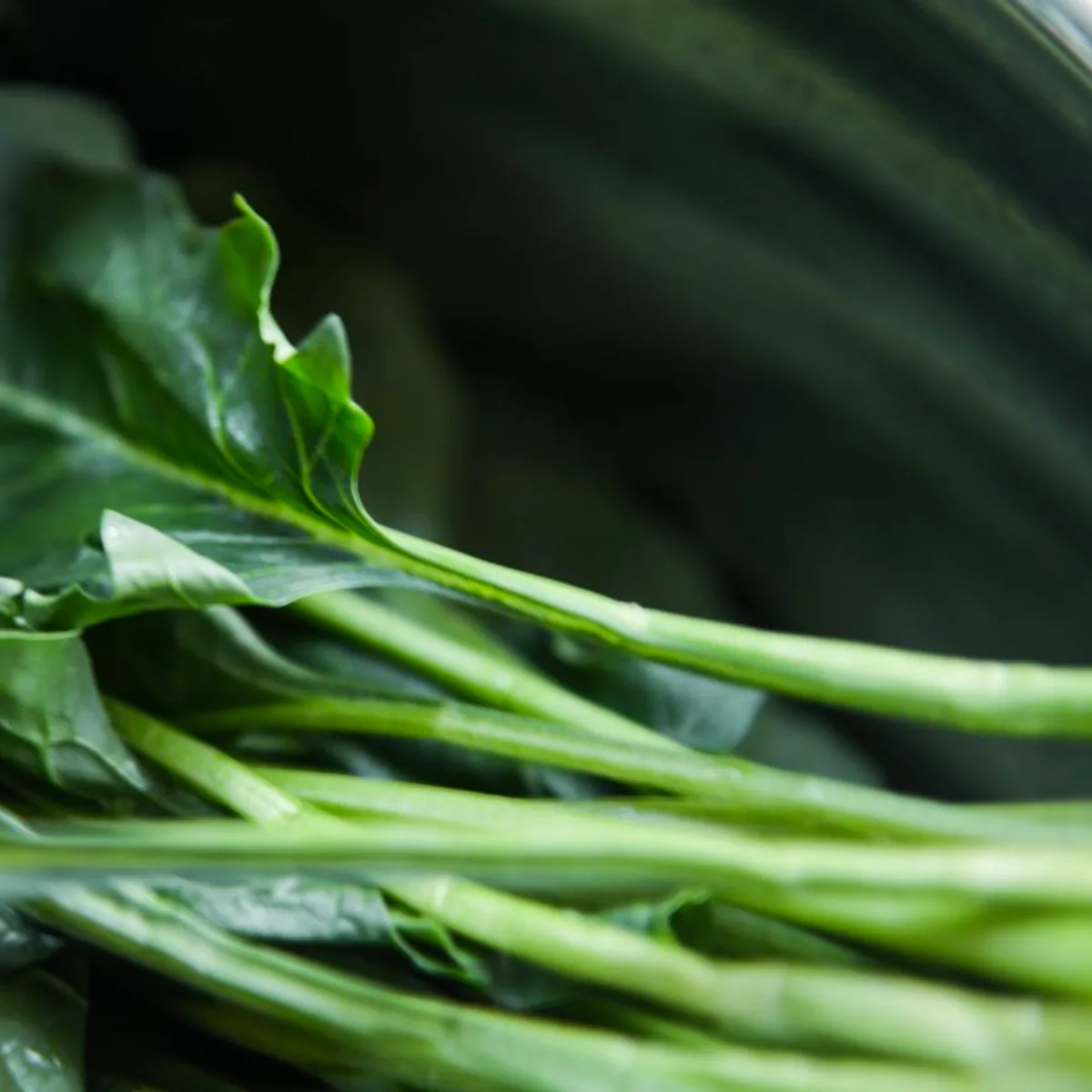 Braised Collards with Cane Syrup