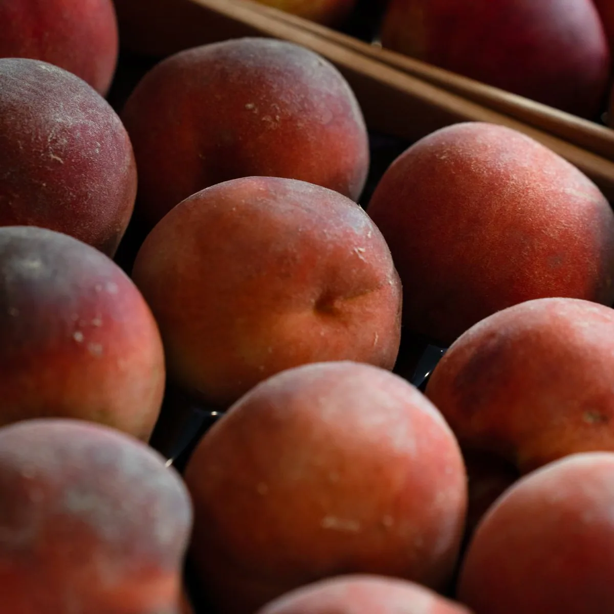 Grilled Peach & Basil Salad