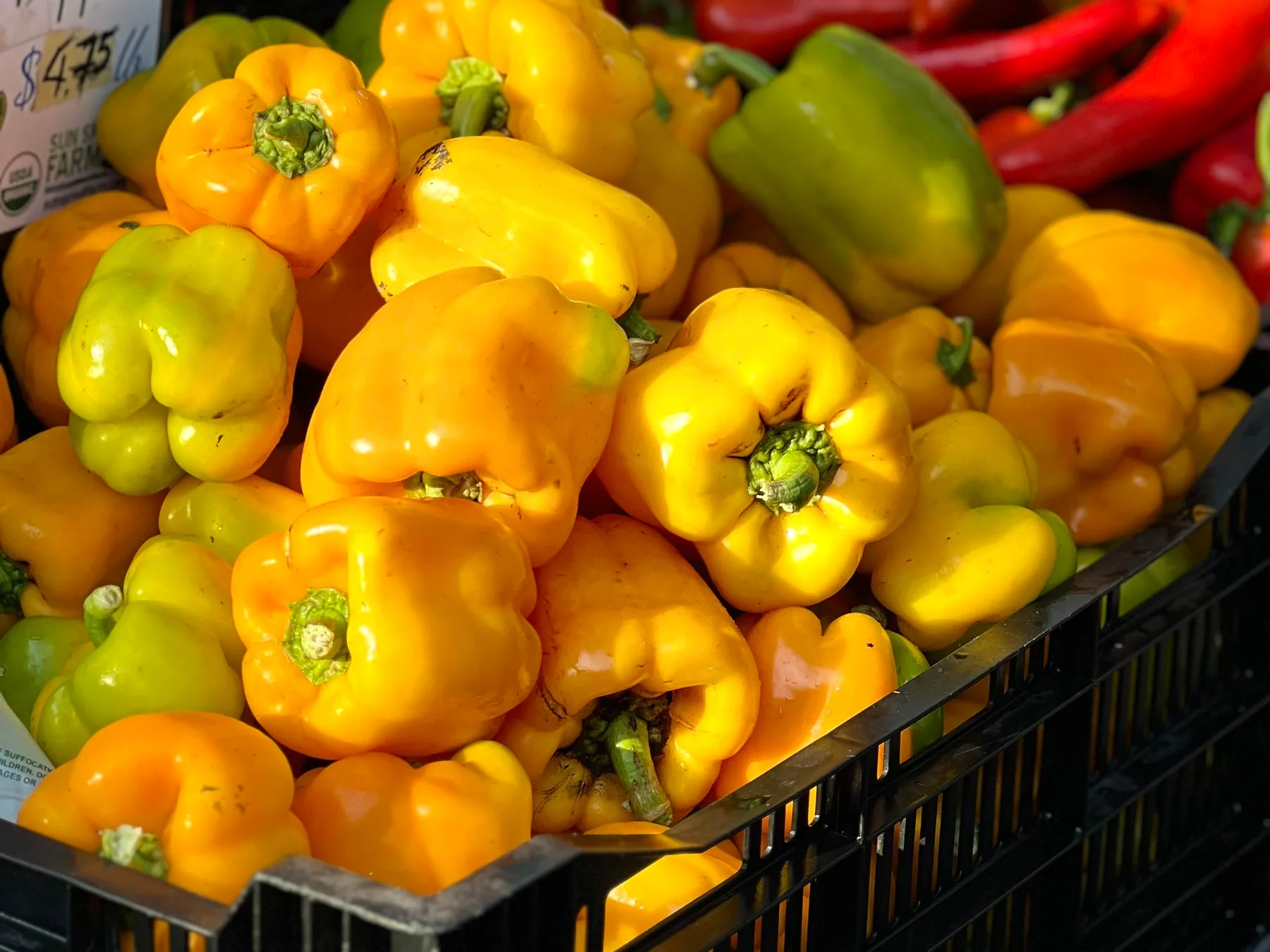 Peppers stacked in crates